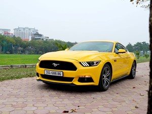 Mustang