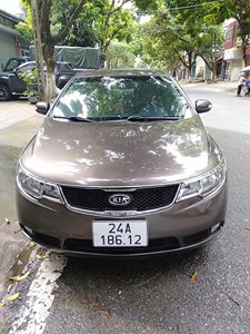 Cerato