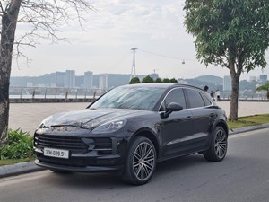 Macan