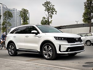 Sorento