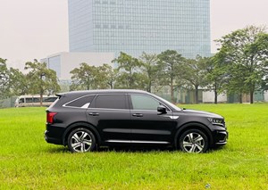 Sorento