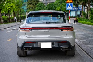 Macan