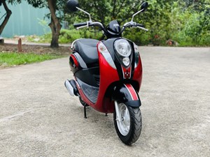 Elite 50
