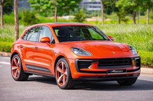 Macan