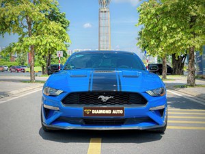 Mustang