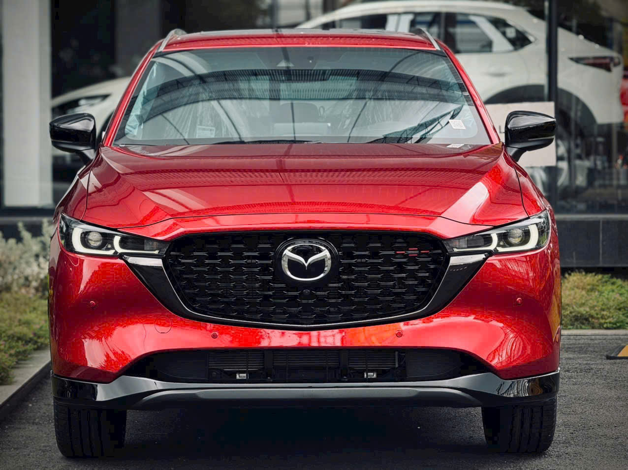 CX5