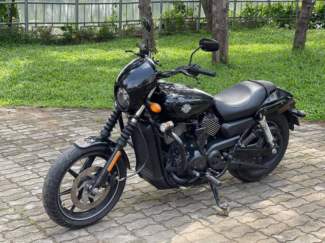 Harley Davidson Roadster 1200 2019