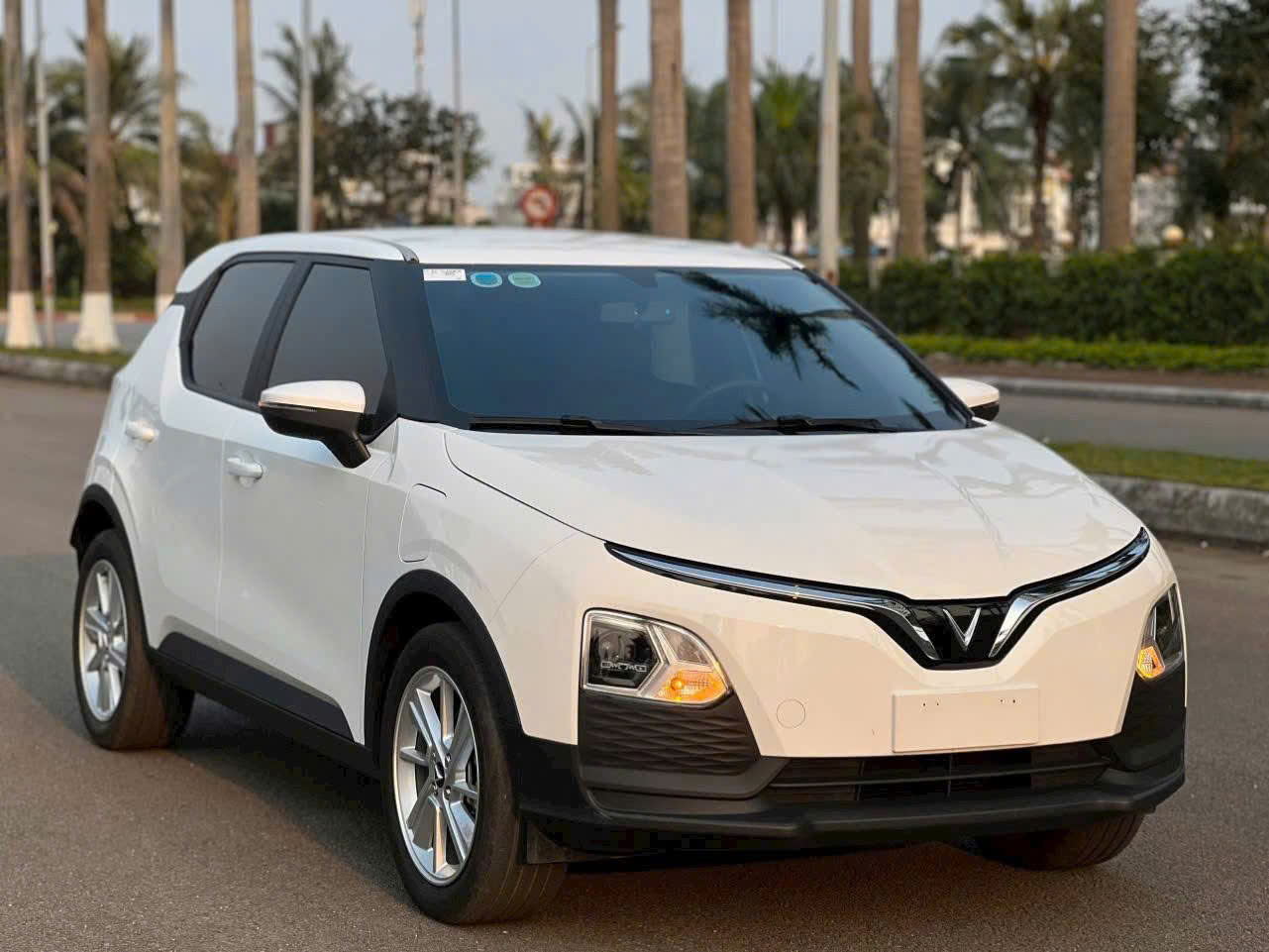 VF5