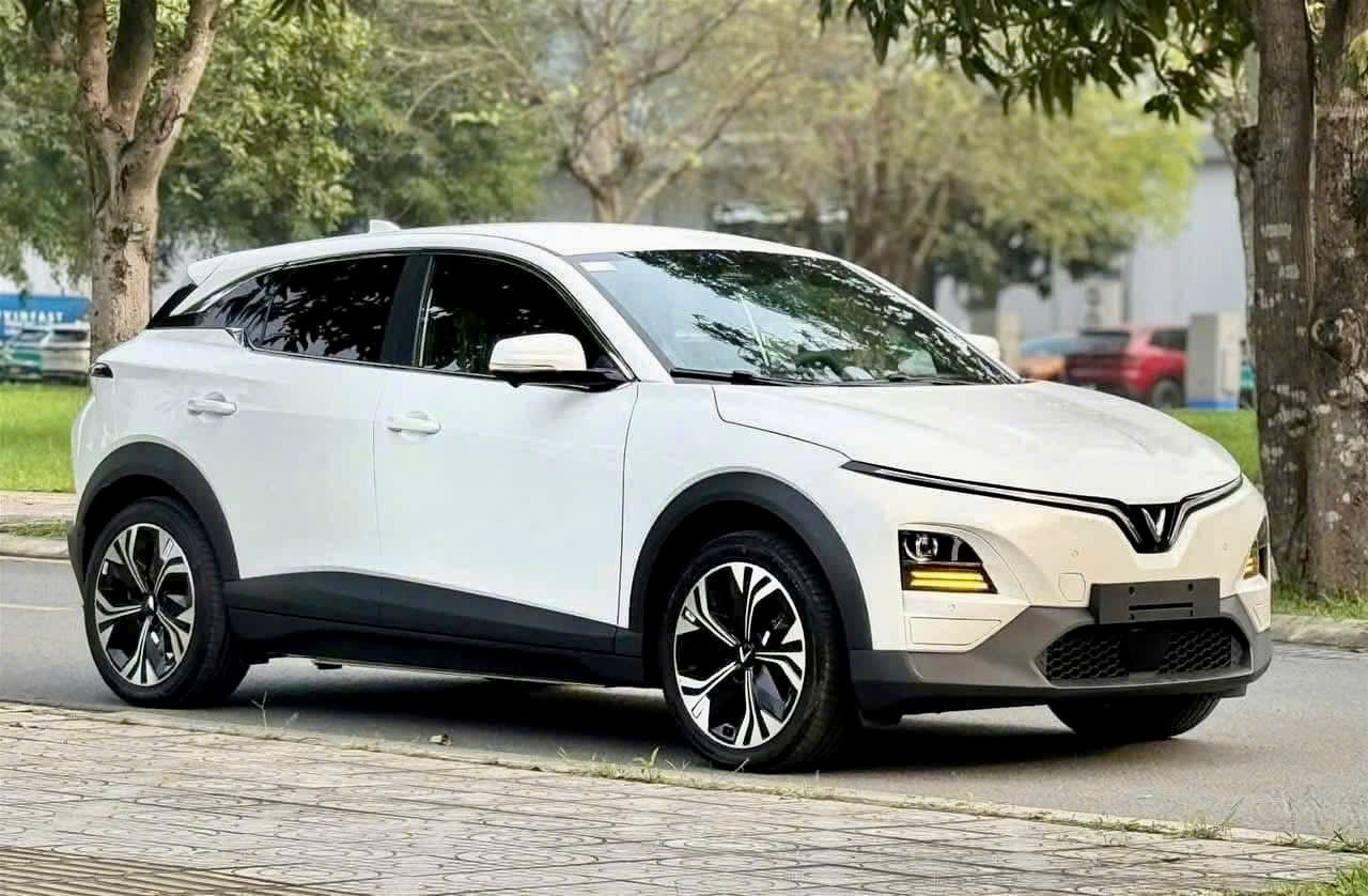 VF6