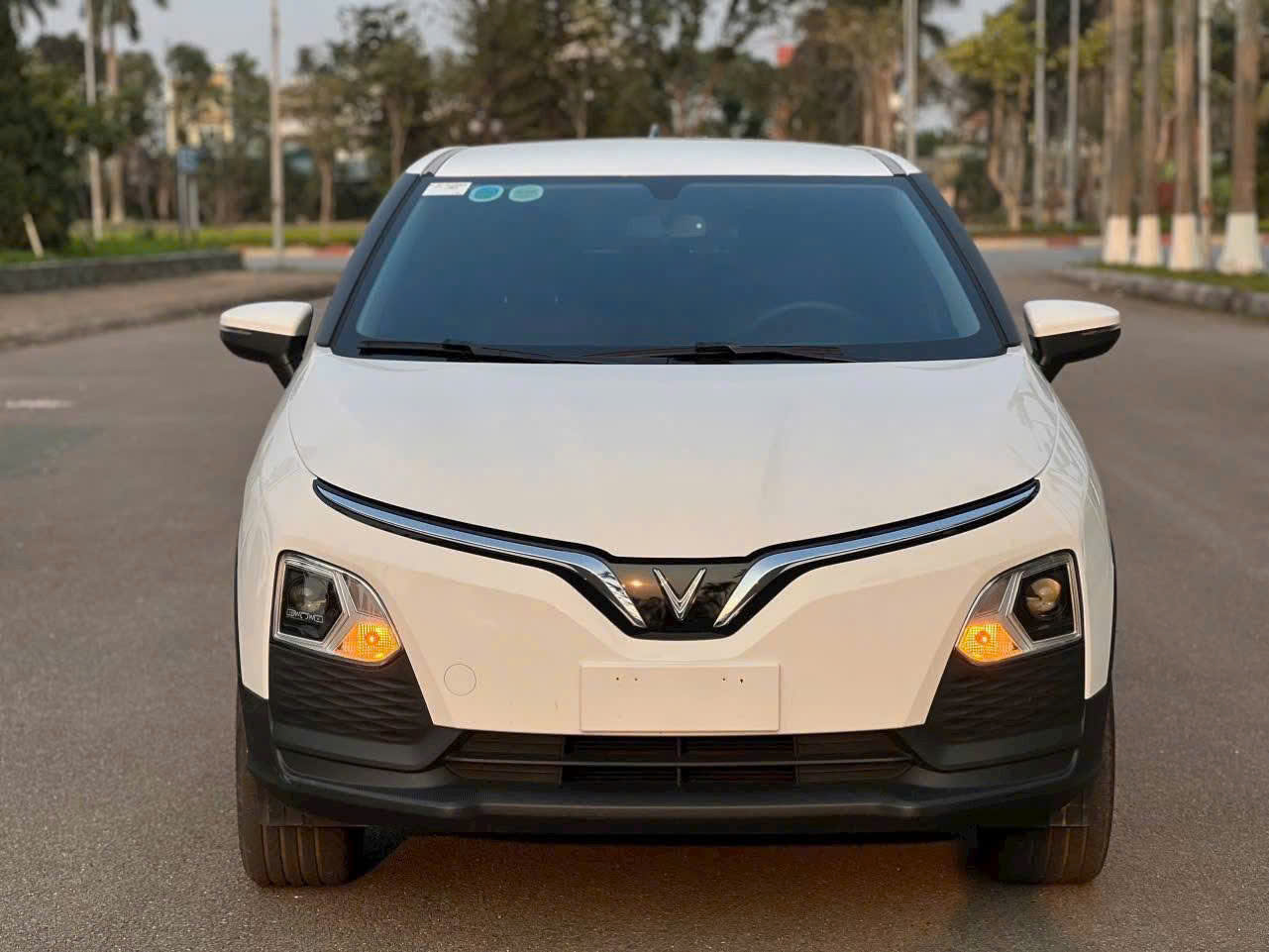 VF5